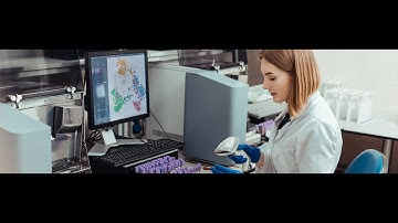 Analysis and visualisation of chest X-Rays to facilitate identification of COVID-19