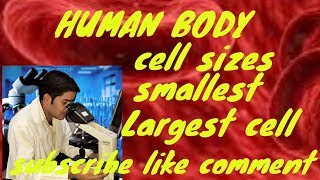 Cell sizes l Biology l simple explain in Hindi 2019