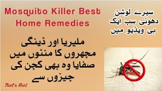 Mosquito Killer Home Remedies/How To Get Rid Mosquitoes At Home/Macharon Ko Bhagane Ke Desi Tariky.