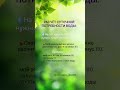 22 февраля 2026 г.