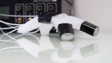 Multigait soft robot