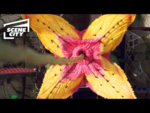 Jumanji: The Plants Attack (Robin Williams 4K HD CLIP) | With Captions