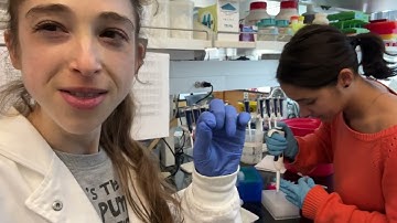 Tips for using multichannel pipets