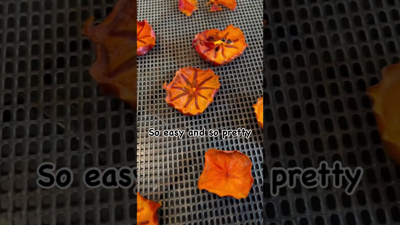 Dessert Idea Dried Persimmons Driedpersimmon Hachiya Foodfoundation 1minhealthier