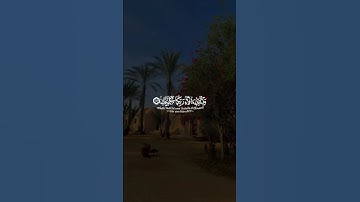 و الأرض وضعها للأنام فيها فاكهة و النخل ذات الأكمام || سورة الرحمن || القارئ: رعد الكردي