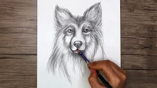 How to Draw a Dog Head with Pencil | Dog Sketch Step by Step
