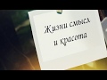 Распахнула юность дверь | песня для любимой (LYRIC VIDEO)