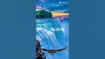 القرآن الكريم #quran #اكسبلور #المصحف #تلاوة_خاشعة #مطر #صوت_جميل# محب الشيخ محمد الحيدان❤️