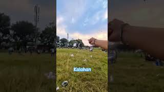 Kalah Di Jepret Layangan Aduan