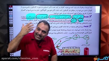 lessons on algorithms and quantum physics Counseling psychology