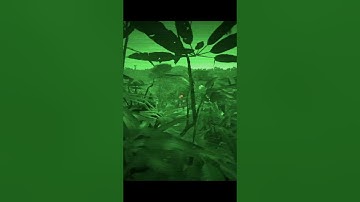 Views in Ghost Recon: Normal, Night Vision & Thermal