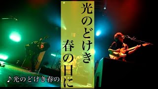 【癒しBGM】光のどけき春の日に/UNISON SQUARE GARDEN