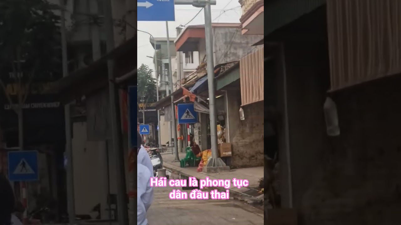 ĐANG TUỔI ĂN TUỔI HỌC 💕 M&Agrave; BỊ BẮT LẤY CHỒNG 🌷 v&agrave; c&aacute;i kết #tamtrang #tintuc #shortvideo #codau #love