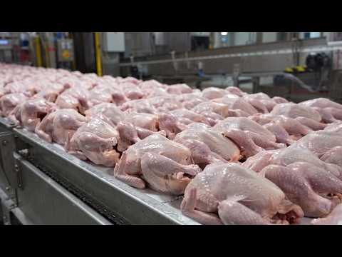 Inside the Factory Turning Millions of Whole Chickens into Crispy Fried Chicken | Full Process
