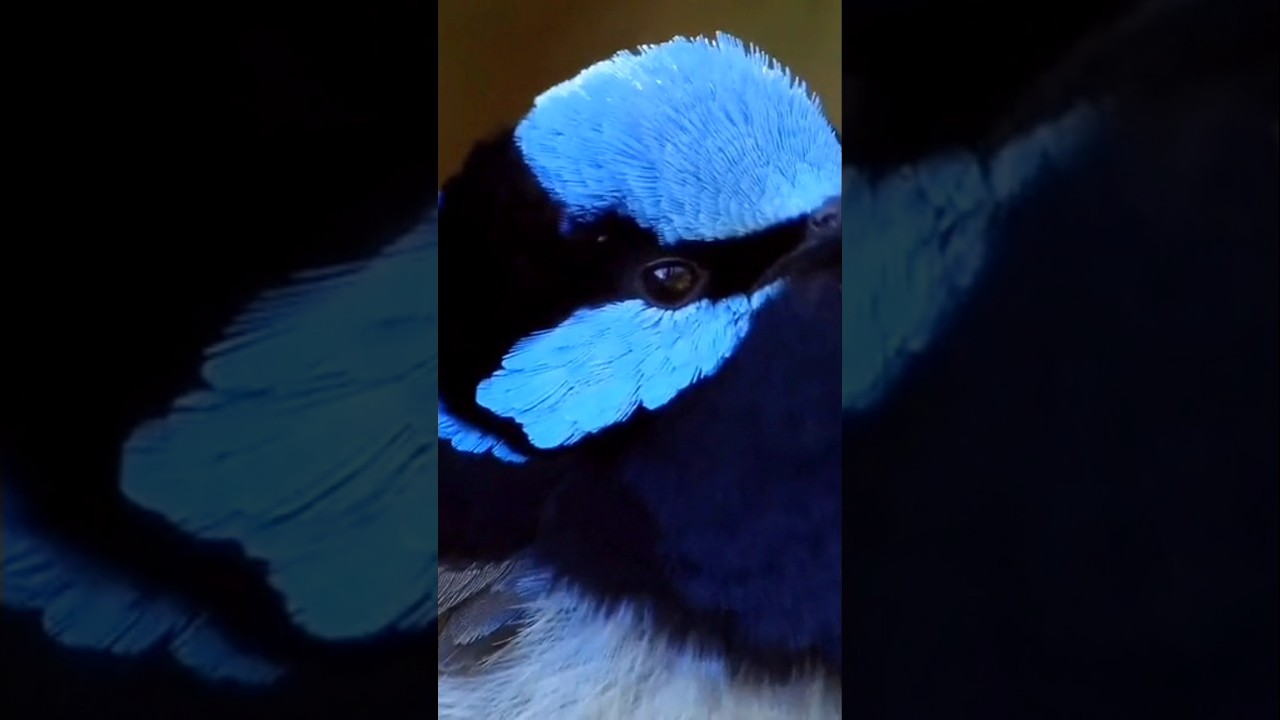 14 апреля 2025 г.