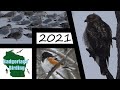 2021 First of the Year Birding Challenge