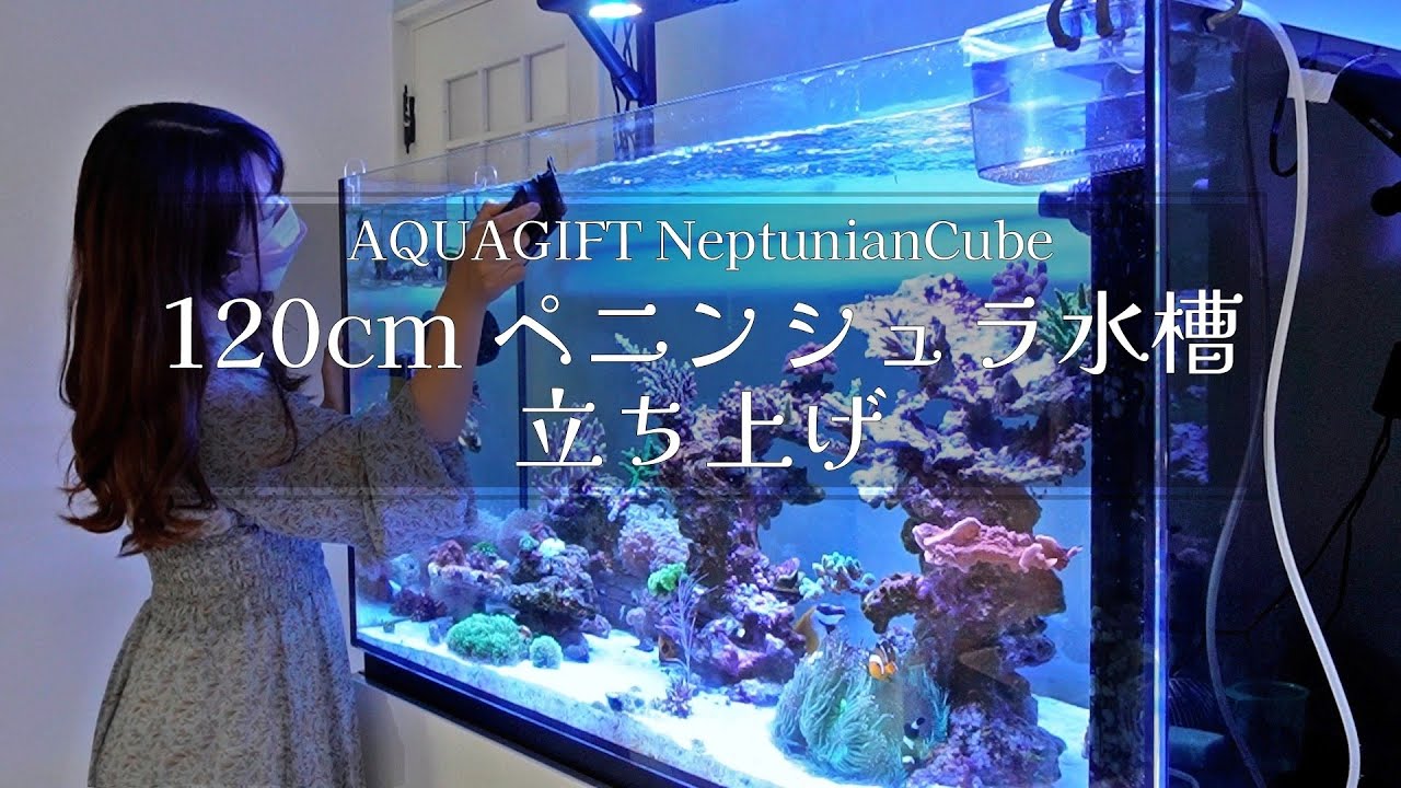 グラッシーコア リーフ X200 ボルクスジャパン 海水魚/サンゴ用LED