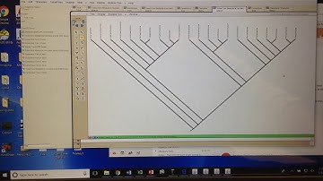 Editing Trees in Mesquite