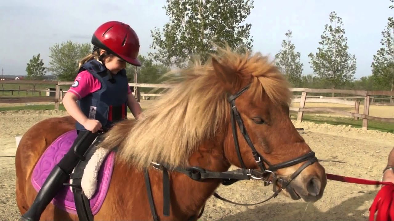 Képességfejlesztés lovaglás gyerekeknek