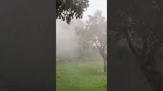 ASMR| Nature rain and wind sound RELAXATION