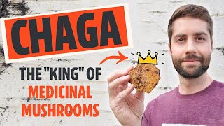 Why Chaga Is The 'King' Of Medicinal Mushrooms (Inonotus obliquus)