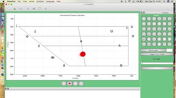 VowelCat - Individualized Vowel Chart