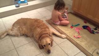 Golden Retriever Watches Toddler Play with Barbie by TuBob Shakur 5,304 views 9 years ago 2 minutes, 7 seconds