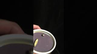 “Our Lady of Lourdes” Ardleigh-Elliott Music Box