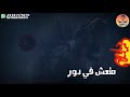 حالات واتس اب فيلو هتصيع على مين يا فنله Mhrgan 2019 حالات واتس اب فيلو هتصيع على مين يا فنله Mhrgan 2019