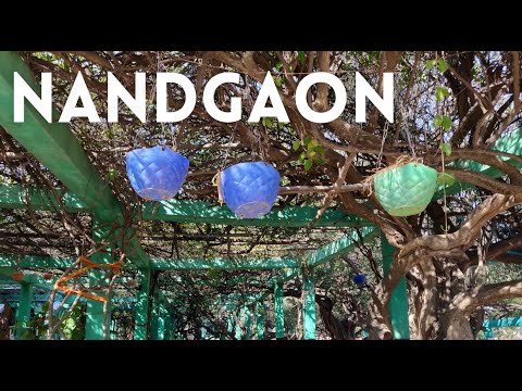 Nandgaon | Braj | Solo Trip | Places to Visit in India