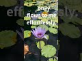 Listen to this ONE word for Money flows to me effortlessly(528Hz) ✨