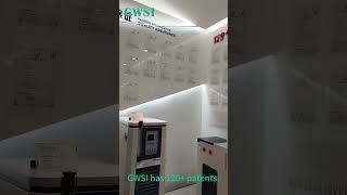 Gwsi Has 120 Patents.