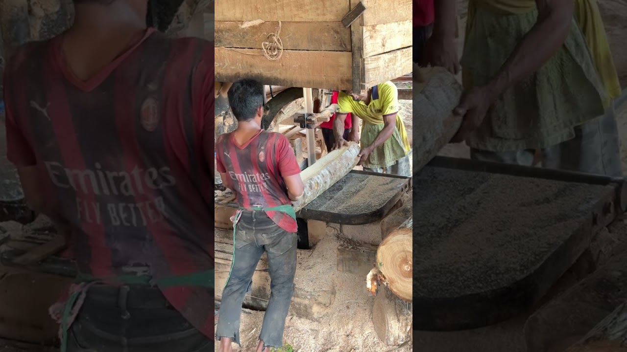 Mastering Precision Cutting and Wood Processing Insights from Expert Sawmill Operators