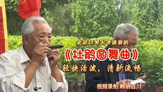 北京口琴大爷演奏的《杜鹃圆舞曲》，轻松活泼，清新流畅