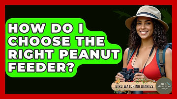 How Do I Choose The Right Peanut Feeder? - Bird Watching Diaries