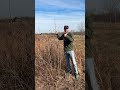 Why did the meadow get mowed?