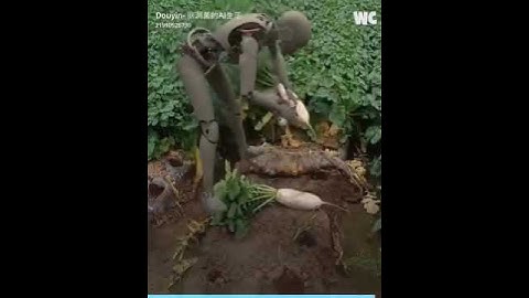 Meet the Ultimate Robot Farmer! | Robot Human | Robot #facts #robot #news