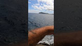 rock FISHING Sumbawa INDONESIA ultralight sabiki 🎣🐟 #shorts #travel #fishing #mancing #ikan #indo screenshot 5