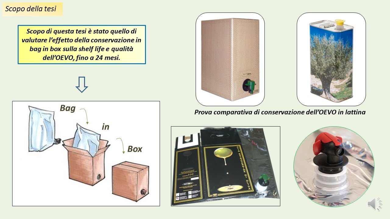 Bag in box Tesi Spadanuda mar2021