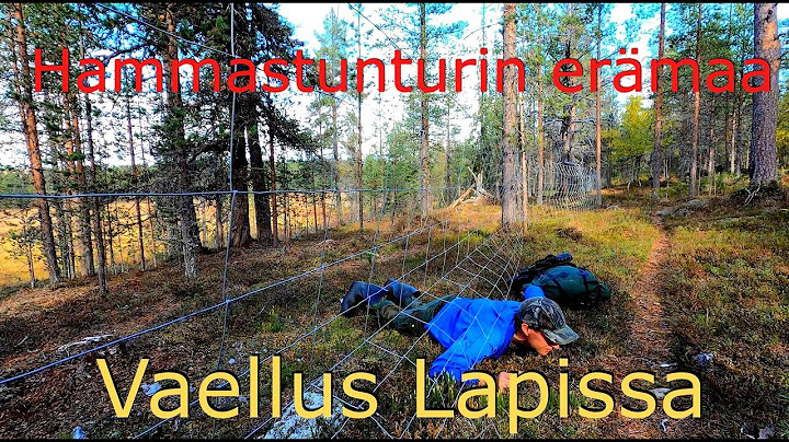 Lapinvaellus Hammastunturin erämaassa. Suivakkojärven autiotupa. Lappi Inari