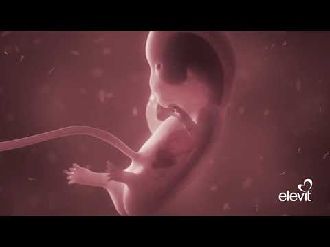 Video: Elevit Pronatal - Upute Za Uporabu, Cijena, Sastav, Pregledi