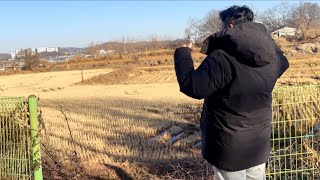 Korea ର ଧନ ଚଷ କମତ ହଏ? Jeon ଡରକ ଯଉ ନହନତ