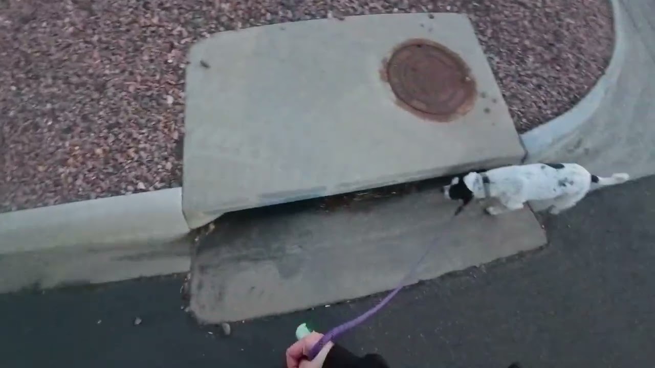 Ramona and Brett Evening Run on Feb 17, 2026