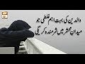 Watch Al-Hadi - 6th December 2018 - ARY Qtv Online In HD