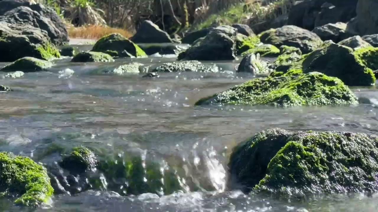 Soothing nature ambience, Natural stream of flowing water, Forest ASMR