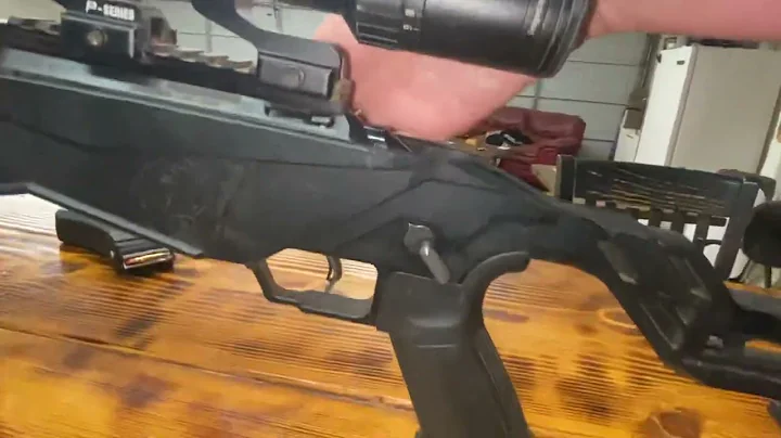 Ruger Precision Rimfire Problems