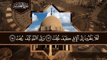 قالب قرآن كريم للمونتاج بدون الآيات واسم الشيخ والسورة Template Quran Karim