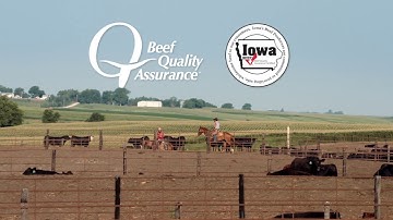 Beef Quality Assurance