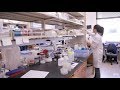 From the lab to the studio - undergraduate research at UCLA