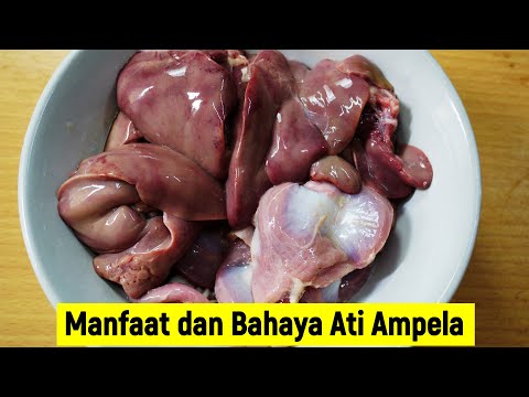 Suka Ati Ampela ! Berikut Manfaat  dan Bahaya Mengomsumsinya